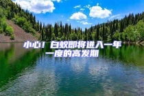 小心！白蟻即將進入一年一度的高發期