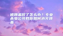 被跳蚤咬了怎么辦？專業(yè)殺蟲公司教你如何消滅跳蚤