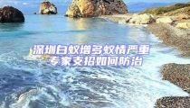 深圳白蟻增多蟻情嚴重 專家支招如何防治