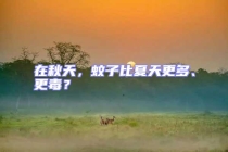 在秋天，蚊子比夏天更多、更毒？
