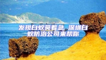 發現白蟻莫著急 深圳白蟻防治公司來幫你