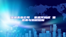 深圳殺蟲公司  家庭滅螞蟻 信息素與螞蟻控制