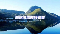 白蟻防治如何收費(fèi)