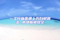 一工行宿舍遭上萬白蟻襲擊 木地板被蛀空