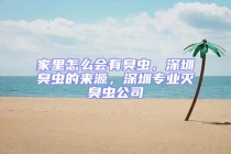 家里怎么會有臭蟲，深圳臭蟲的來源，深圳專業(yè)滅臭蟲公司