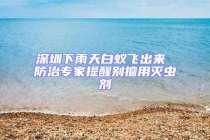 深圳下雨天白蟻飛出來 防治專家提醒別擅用滅蟲劑