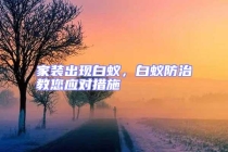 家裝出現(xiàn)白蟻，白蟻防治教您應對措施