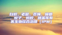 白蟻、老鼠、蒼蠅、蟑螂、蚊子、螞蟻、跳蚤等有害生物綜合治理（IPM）