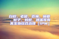 白蟻、老鼠、蒼蠅、蟑螂、蚊子、螞蟻、跳蚤等有害生物綜合治理（IPM）