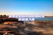 臭蟲怎么消滅以及如何預(yù)防臭蟲入侵