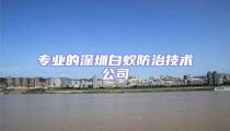 專業的深圳白蟻防治技術公司