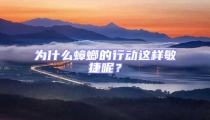 為什么蟑螂的行動這樣敏捷呢？