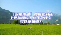 【深圳除蟲】蟑螂爬到床上還能睡嗎？床上放什么可以驅蟑螂？
