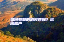 如何有效的消滅蒼蠅？遠離噪聲