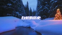 白蟻的歷史