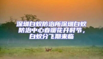 深圳白蟻防治所深圳白蟻防治中心春暖花開時節，白蟻分飛期來臨