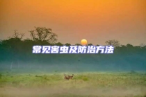 常見害蟲及防治方法