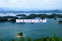 如何預防蟑螂入侵