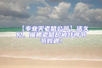 【專業(yè)滅老鼠公司】活久見，貓抓老鼠卻被嚇得節(jié)節(jié)敗退！