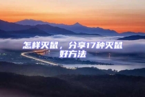 怎樣滅鼠，分享17種滅鼠好方法