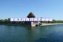 家庭怎樣有效消滅蟑螂呢？