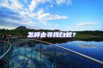 怎樣去尋找白蟻？