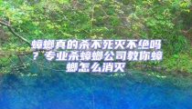 蟑螂真的殺不死滅不絕嗎？專業殺蟑螂公司教你蟑螂怎么消滅