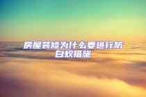 房屋裝修為什么要進行防白蟻措施