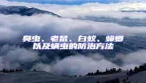 臭蟲、老鼠、白蟻、蟑螂以及螨蟲的防治方法