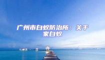 廣州市白蟻防治所：關于家白蟻
