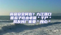 食品安全何在？九江落口香瓜子吃出老鼠＂干尸＂ 網友問廠家要＂良心＂