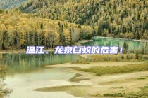 溫江、龍泉白蟻的危害！