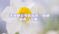 殺蟑螂公司告訴你，蟑螂是否“冬眠”