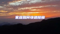 家庭如何快速除蟑