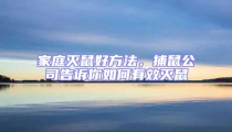 家庭滅鼠好方法，捕鼠公司告訴你如何有效滅鼠