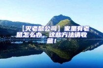 【滅老鼠公司】家里有老鼠怎么辦，這些方法請收藏！