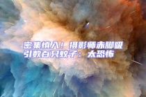 密集慎入！攝影師赤腳吸引數(shù)百只蚊子：太恐怖