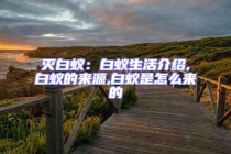 滅白蟻：白蟻生活介紹,白蟻的來源,白蟻是怎么來的