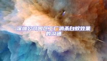 深圳公司園區工廠消殺白蟻效果的溝通