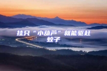 掛只“小葫蘆”就能驅趕蚊子