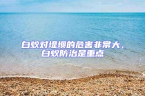 白蟻對(duì)堤壩的危害非常大，白蟻防治是重點(diǎn)