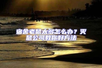 宿舍老鼠太多怎么辦？滅鼠公司教你好方法