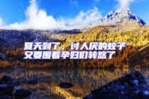 夏天到了，討人厭的蚊子又要圍著孕婦們轉悠了