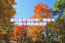 蜈蚣能有多彪悍！那些斗智斗勇的血淚史