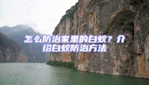 怎么防治家里的白蟻？介紹白蟻防治方法
