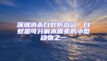 深圳消殺白蟻防治站，白蟻是可分解木質素的小型動物之一