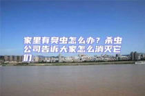 家里有臭蟲怎么辦？殺蟲公司告訴大家怎么消滅它們