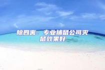 除四害：專業(yè)捕鼠公司滅鼠效果好