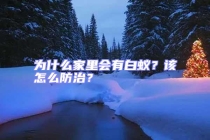 為什么家里會有白蟻？該怎么防治？