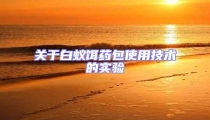 關于白蟻餌藥包使用技術(shù)的實驗